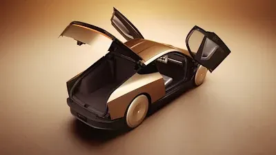 Robotaxi Robotaxi